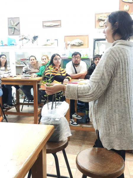 Archivo:LMMDS-San-Carlos (2).jpeg