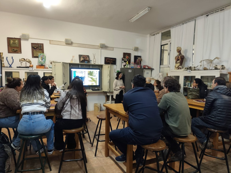 Archivo:LMMDS-San-Carlos (4).jpeg