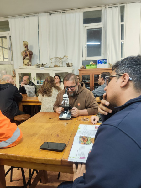 Archivo:LMMDS-San-Carlos (5).jpeg
